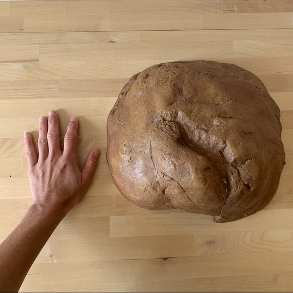 Reptile Habitat - Picture 12 of 12